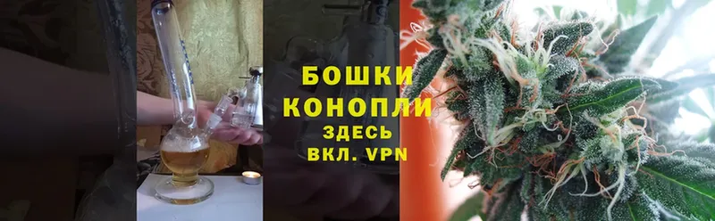 где купить   Кемь  Конопля LSD WEED 